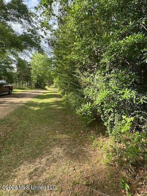 0 Smith Lane Wesson, MS 39191 - Photo 4 of 9 4 acres 02