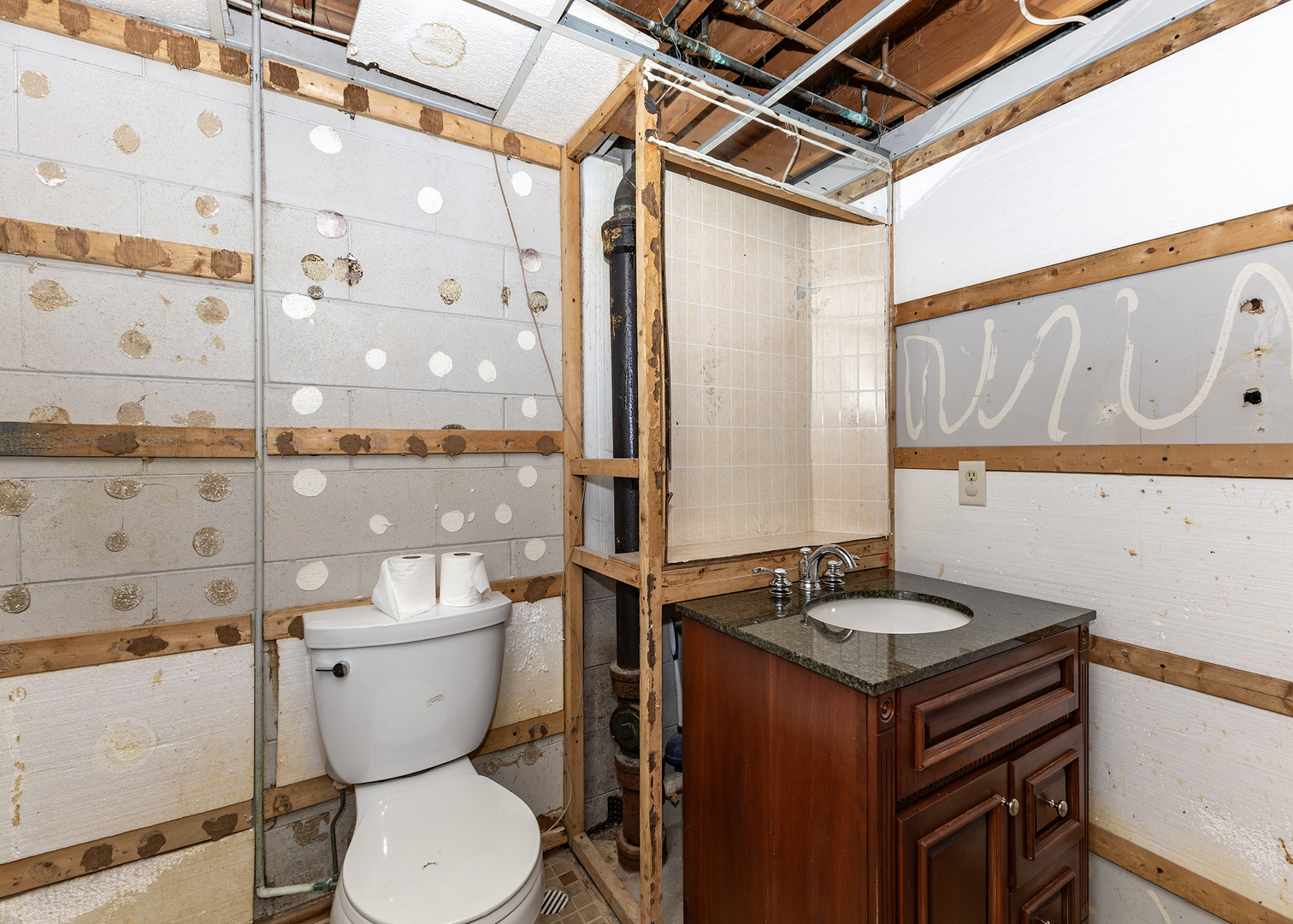 1109 14th Avenue Orion, IL 61273 - Photo 23 of 37 a bathroom with a sink a toilet and shower
