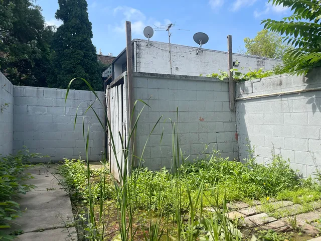 a view of a backyard