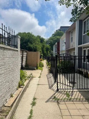 a view of a pathway of a yard with plants and large trees