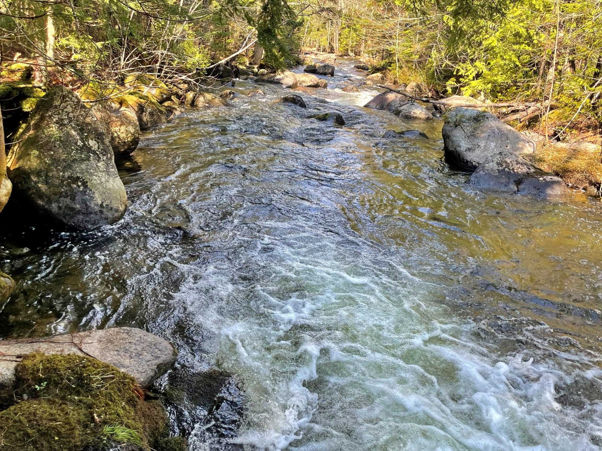 3153 Highway 114, Unit LOT 2 Norton, VT 05907 - Photo 13 of 32