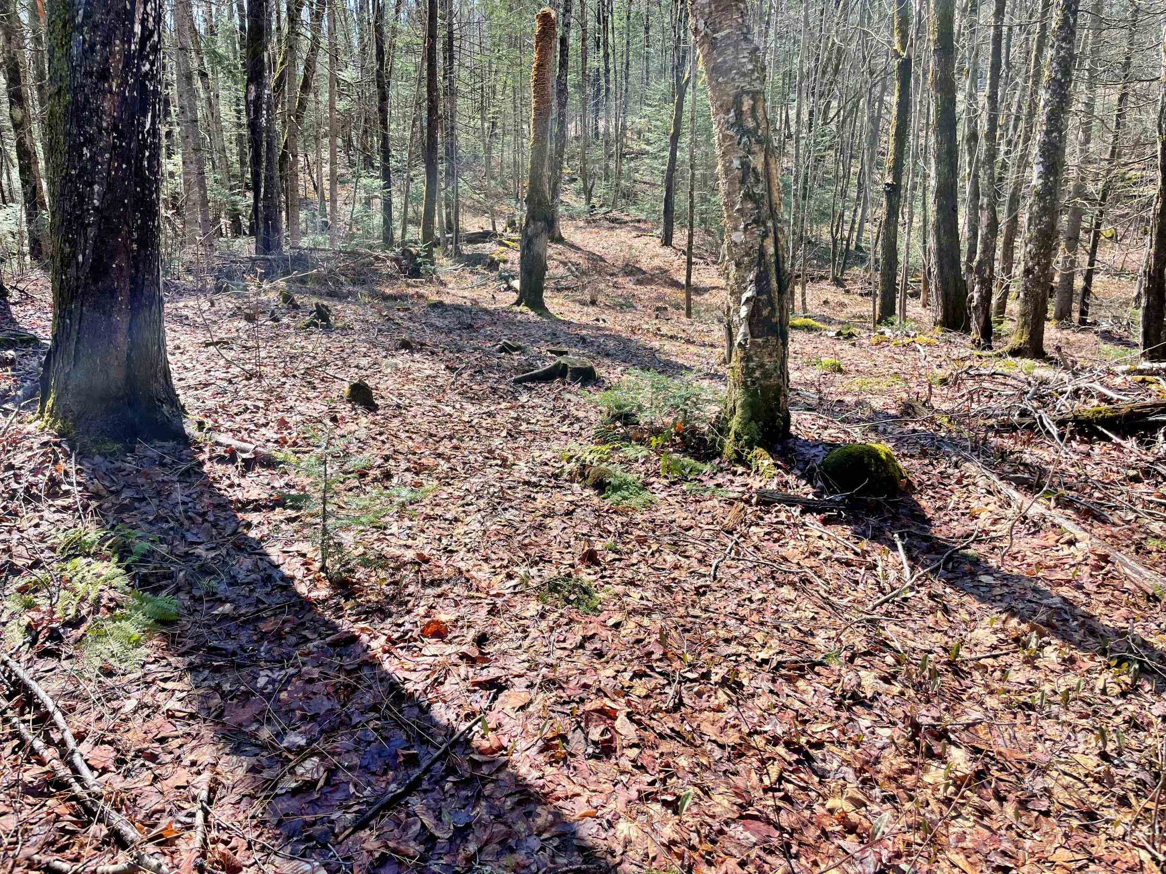 3153 Highway 114, Unit LOT 2 Norton, VT 05907 - Photo 14 of 32