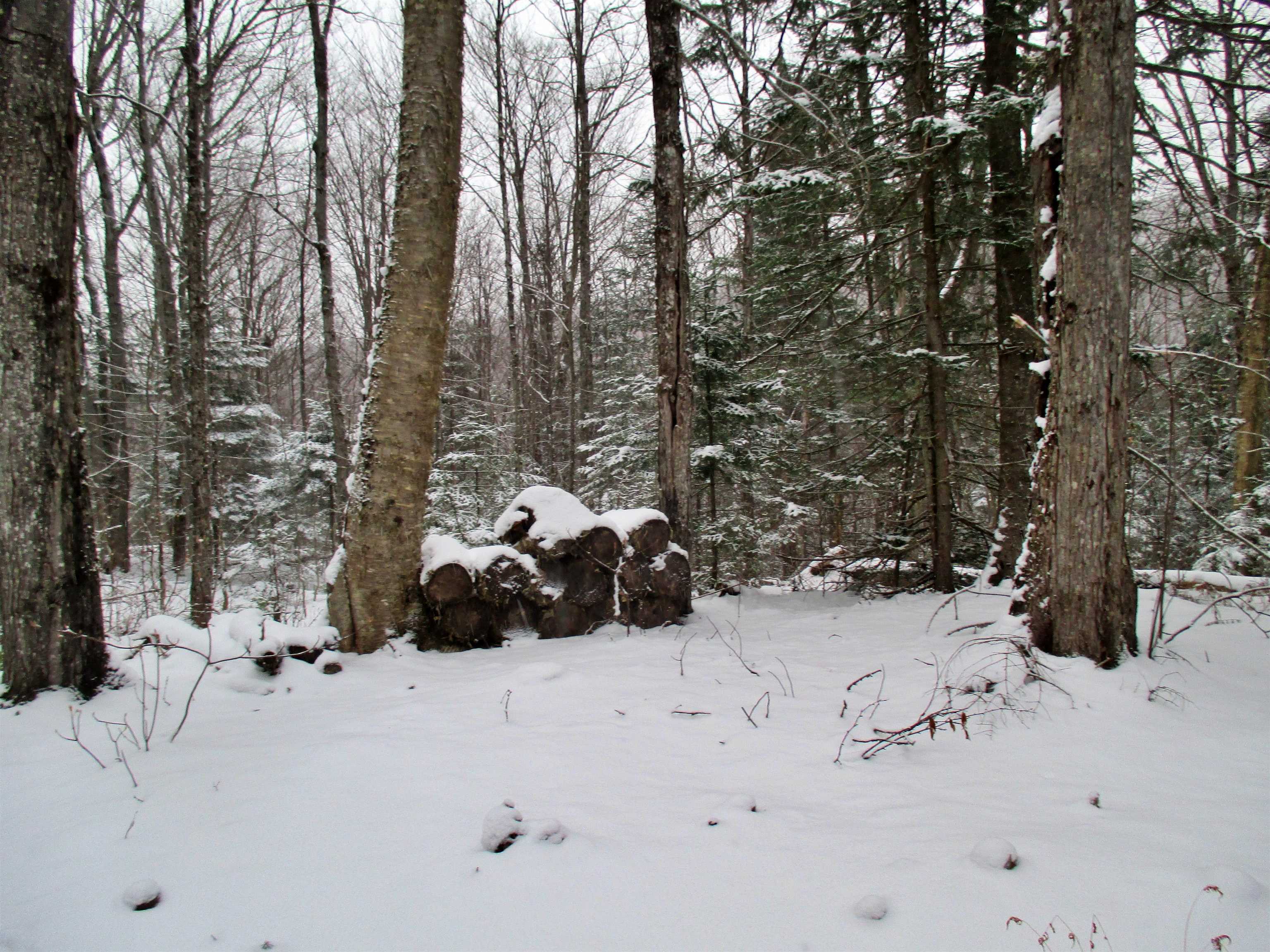 3153 Highway 114, Unit LOT 2 Norton, VT 05907 - Photo 23 of 32