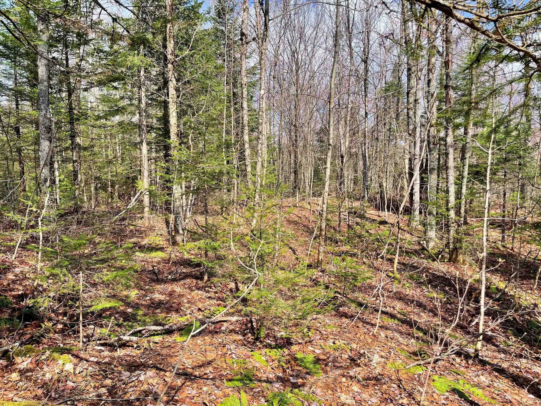 3153 Highway 114, Unit LOT 2 Norton, VT 05907 - Photo 27 of 32