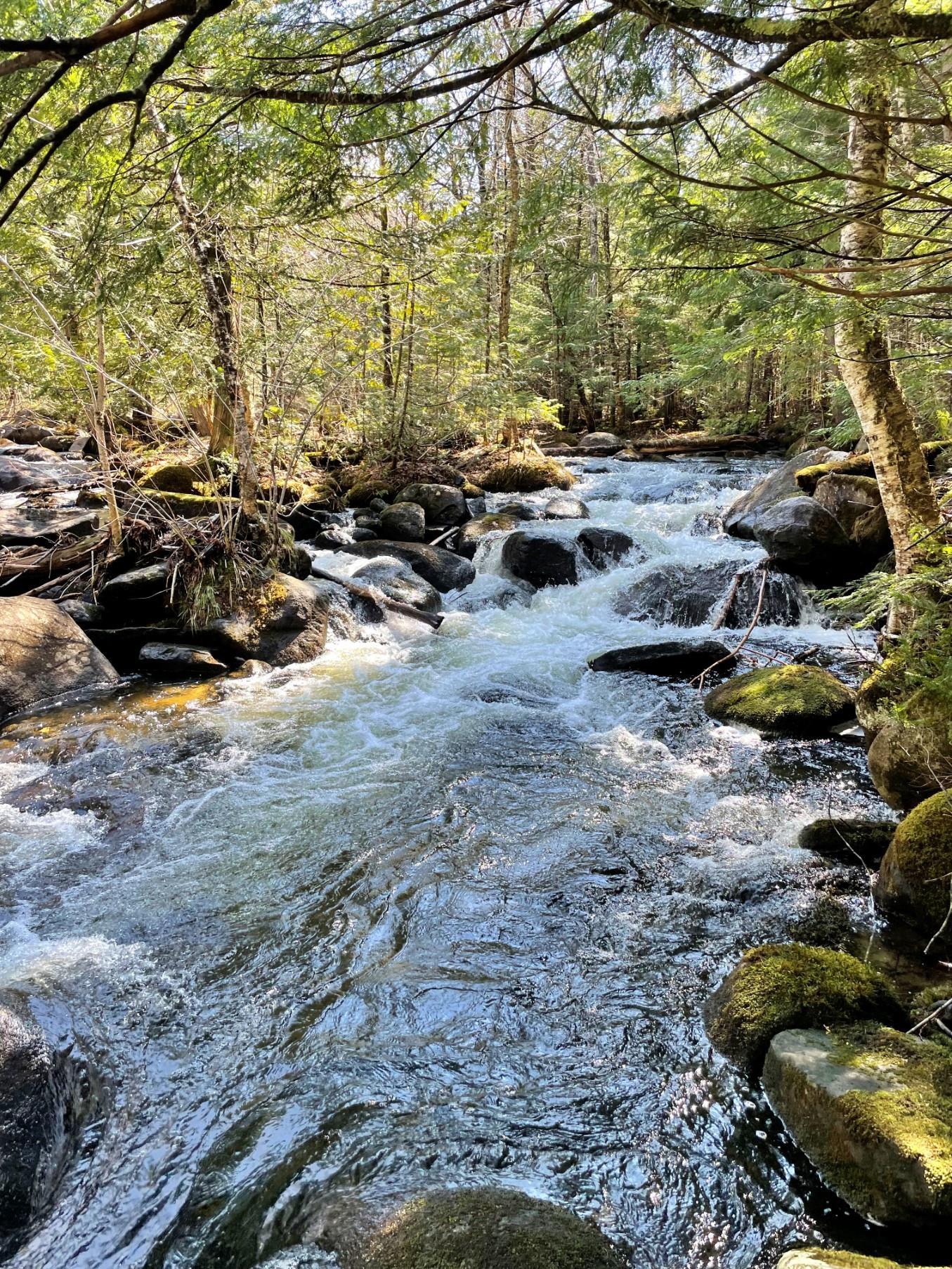 3153 Highway 114, Unit LOT 2 Norton, VT 05907 - Photo 6 of 32