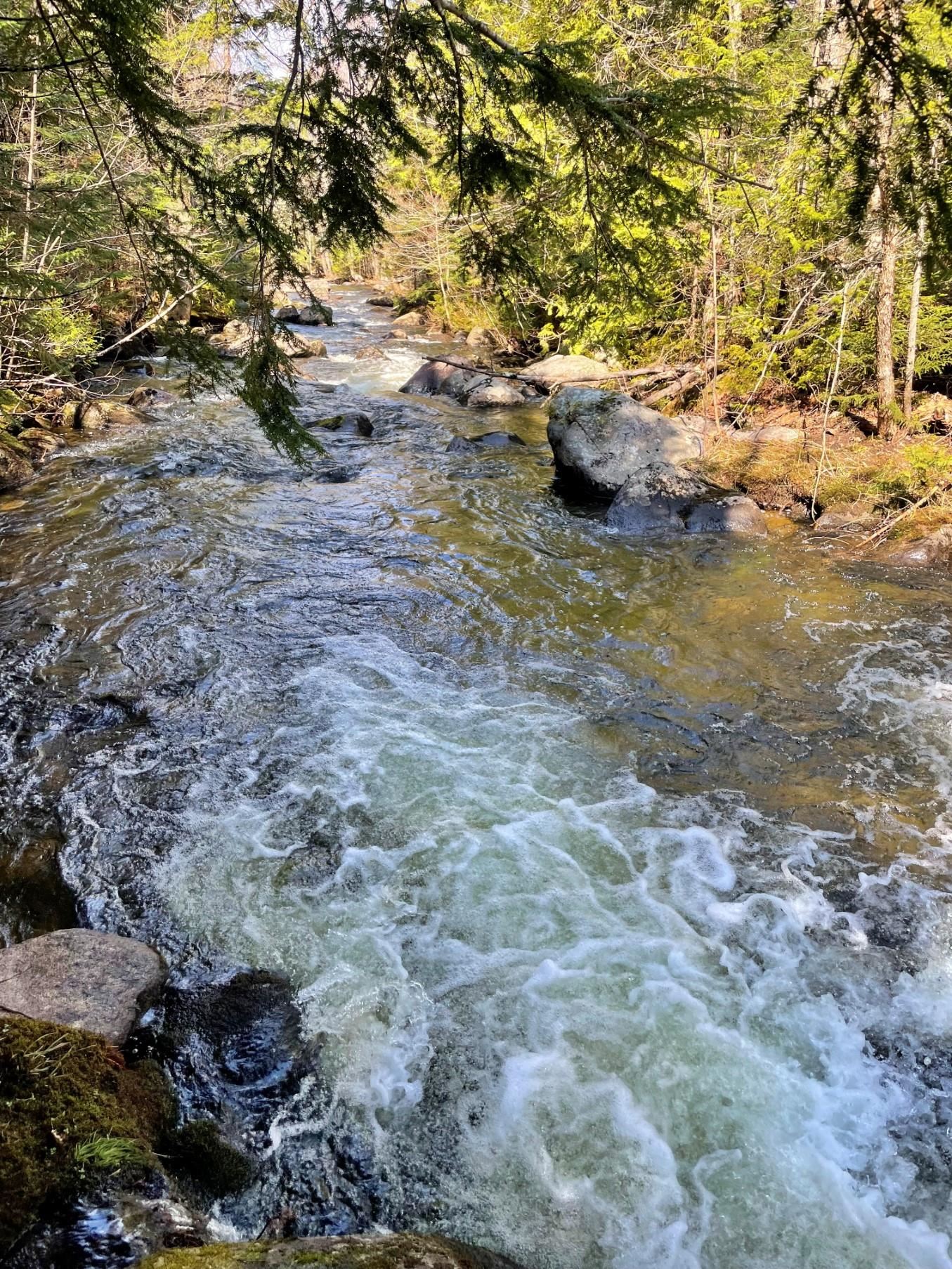 3153 Highway 114, Unit LOT 2 Norton, VT 05907 - Photo 8 of 32
