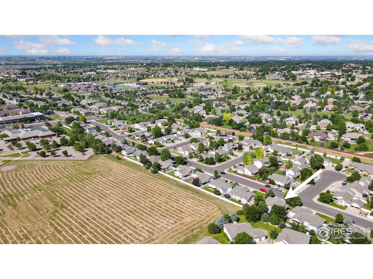 2131 68th Avenue Greeley, CO 80634 - Photo 39 of 39 a black and white photo of a city
