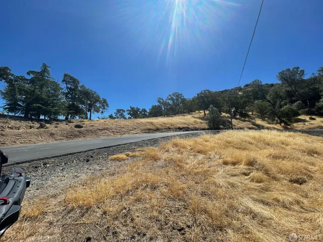 a view of a dry yard with wooden fence