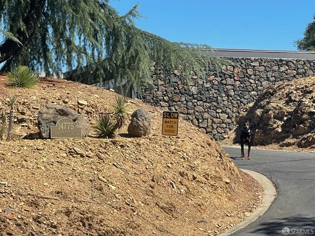 a view of a backyard of the house