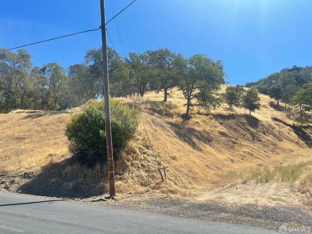 a view of a yard of a house