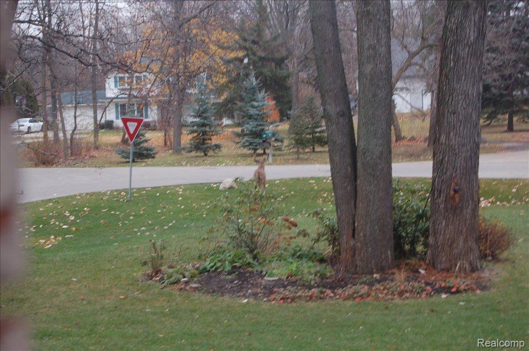 2933 Woodcrest Road Rochester, MI 48309 - Photo 16 of 20 Backyard 1