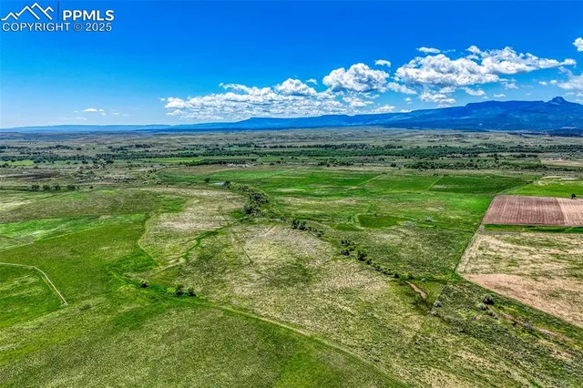 a view of a big yard with lots of green space