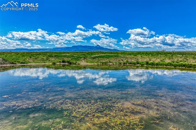 a view of a big yard with lots of green space