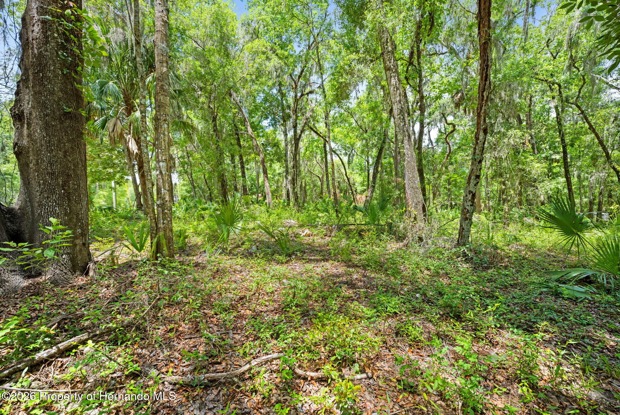 0 Ricebird Avenue Weeki Wachee, FL 34614 - Photo 23 of 26