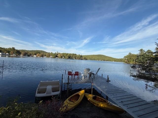 14 Hamel Road Sunapee, NH 03782 - Photo 2 of 19