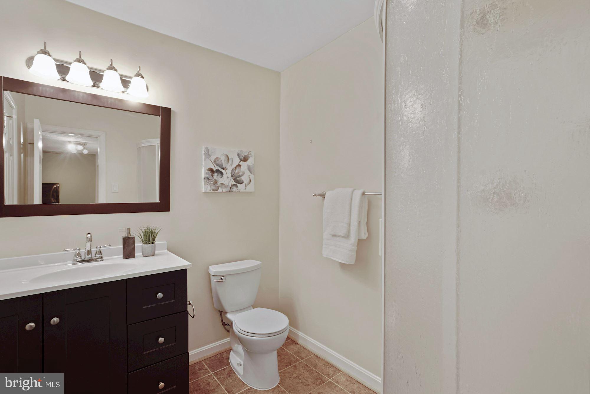 132 East Glebe Road Alexandria, VA 22305 - Photo 26 of 32 Lower level bedroom 3 with en suite