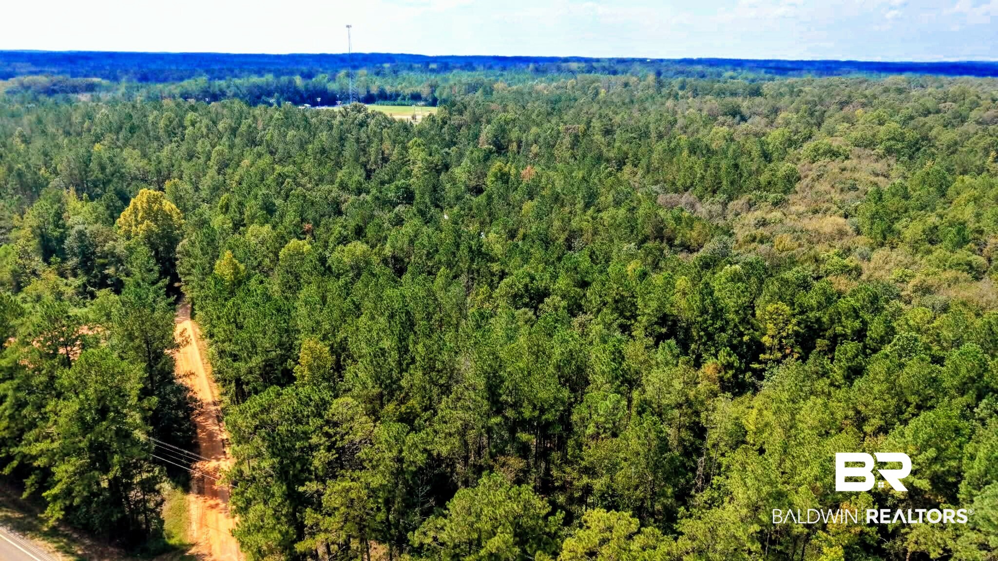0 Pheasant Road Gilbertown, AL 36908 - Photo 12 of 31 Gallery Image 12