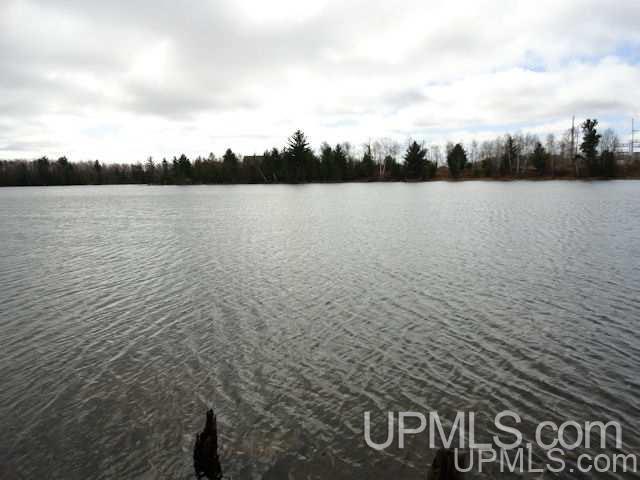 40-acres Perch Lake Road Champion, MI 49814 - Photo 5 of 11