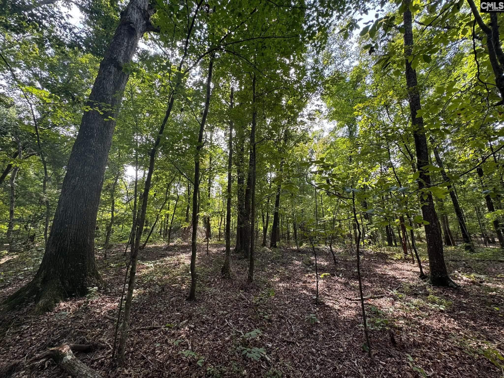 Pencreek Road Johnston, SC 29832 - Photo 4 of 59 Gallery Image 4