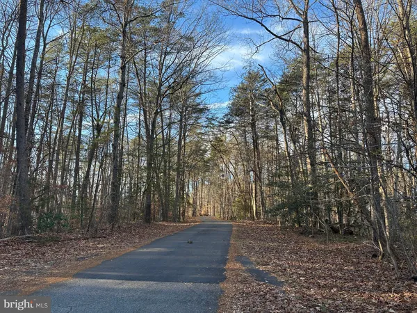 a view of a yard with plants and trees