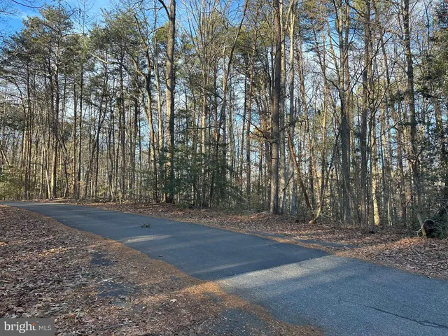 a view of outdoor space with yard