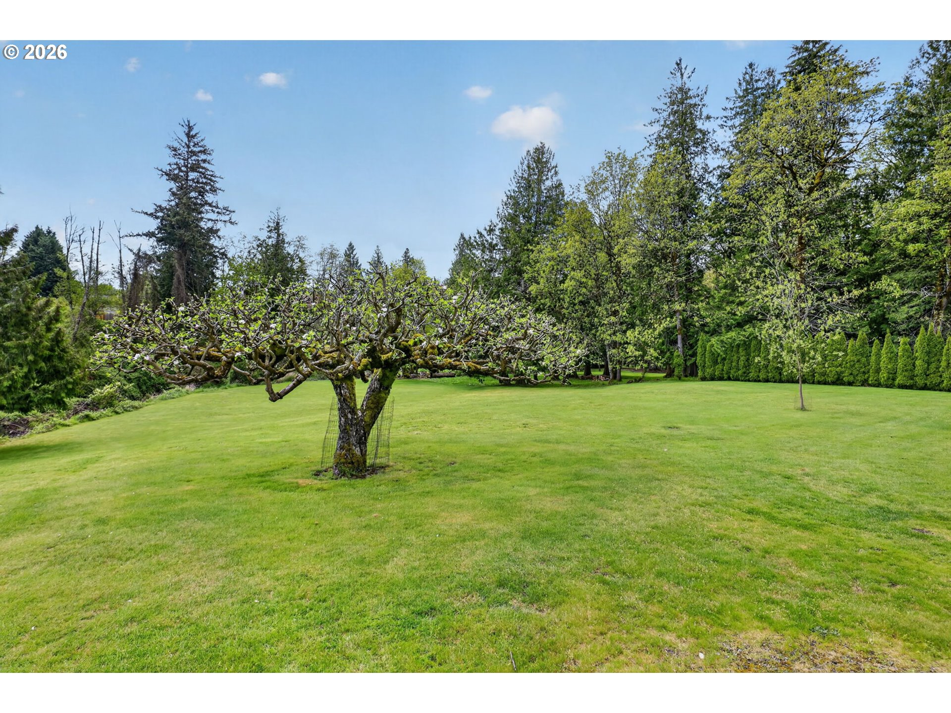 3678 West Powell Loop Gresham, OR 97030 - Photo 40 of 48