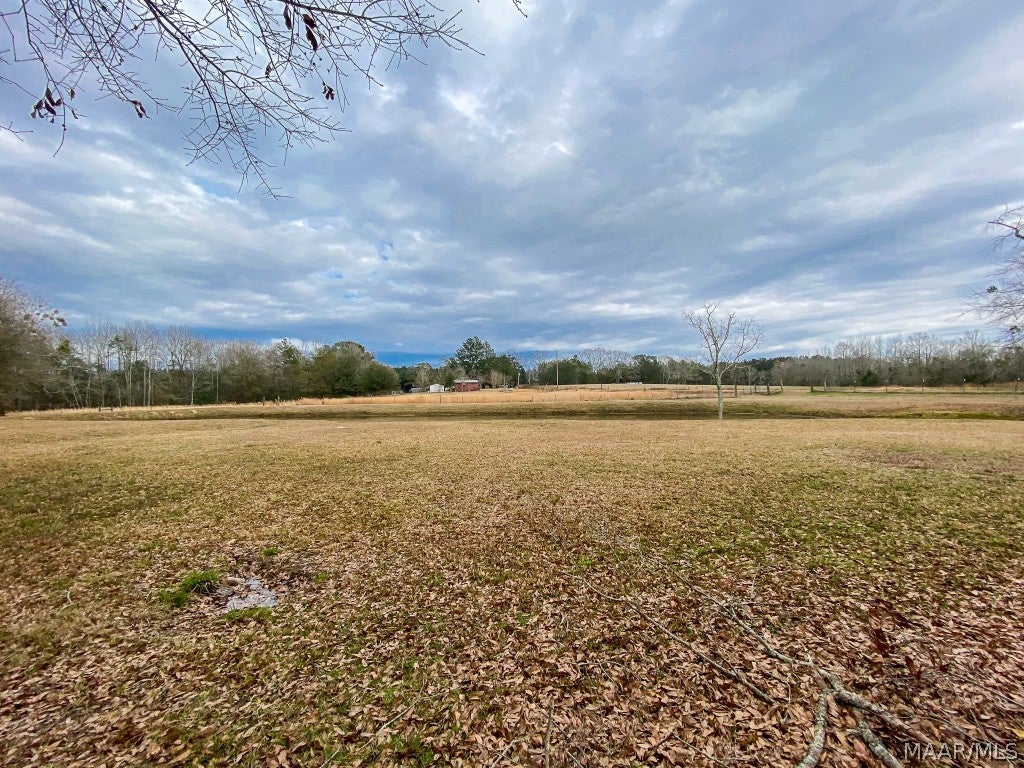 644 Russell Road Samson, AL 36477 - Photo 40 of 51 Gallery Image 40