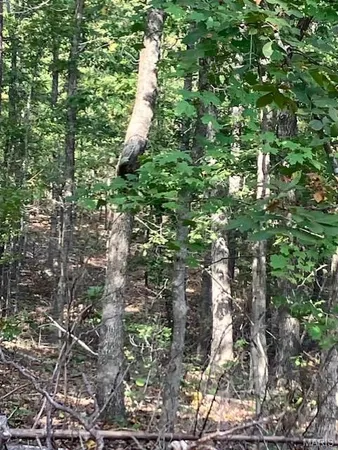 $72,995 | 184 Madison Cr, Fredericktown, MO 63645