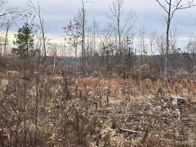 $72,995 | 184 Madison Cr, Fredericktown, MO 63645