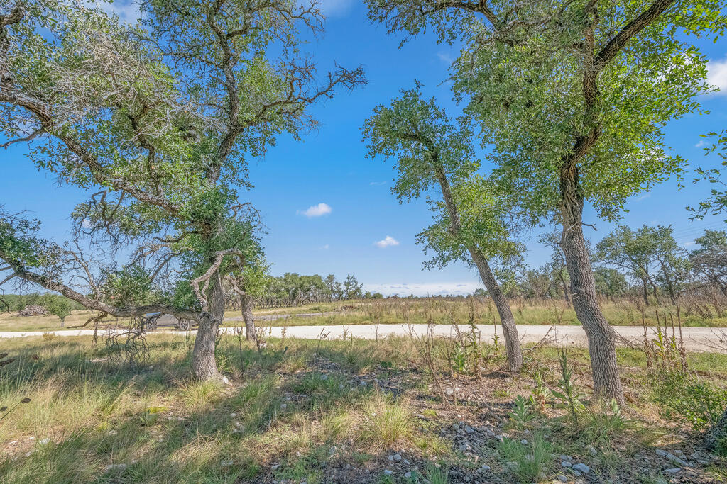 996 Ranch To Market 479 Harper, TX 78631 - Photo 16 of 37 Gallery Image 16