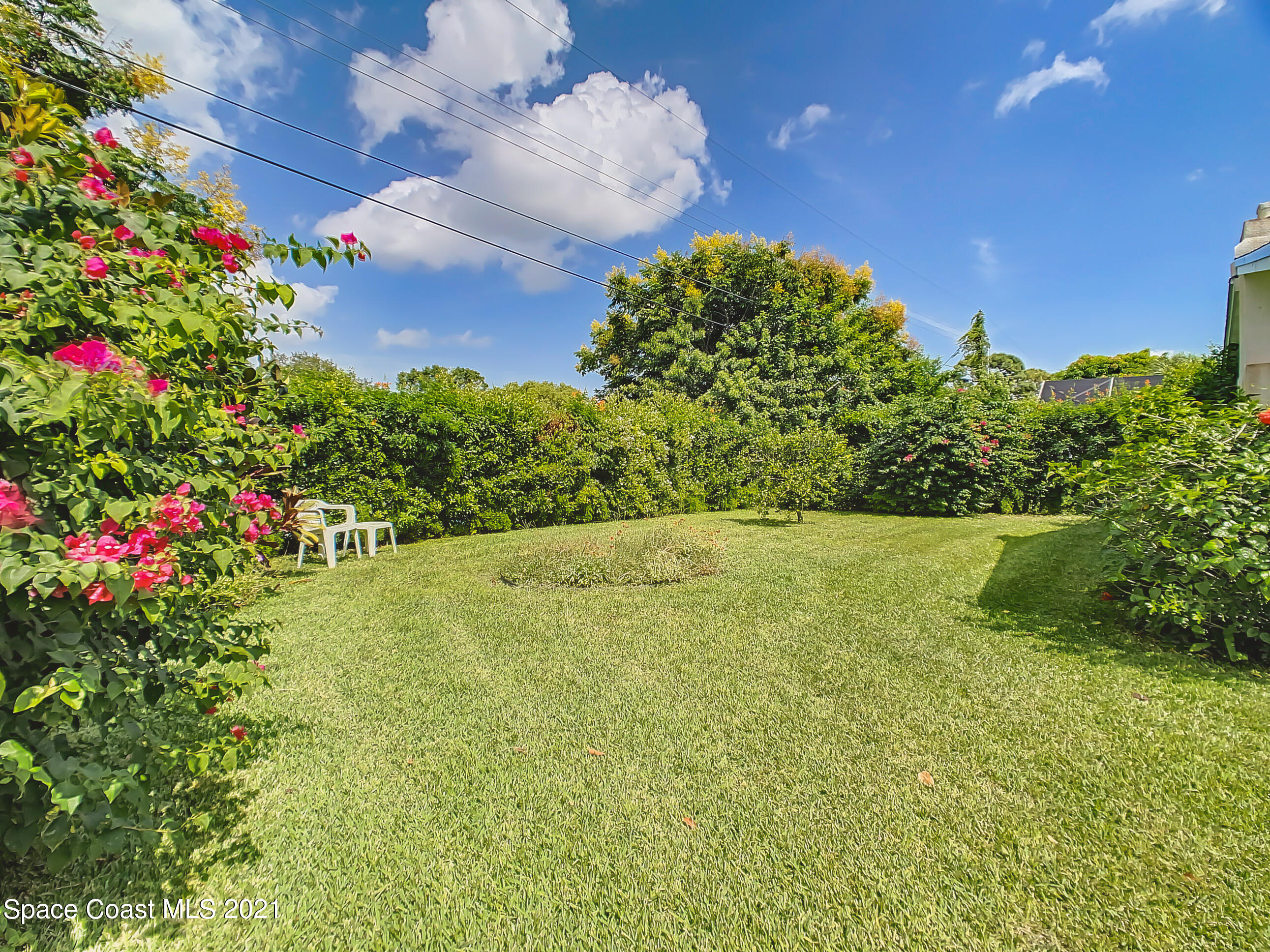 940 Forest Road Titusville, FL 32780 - Photo 26 of 33 Very Private Backyard