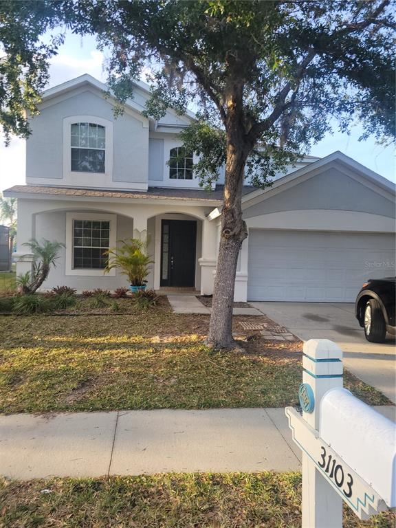 31103 Creekridge Drive Wesley Chapel, FL 33543 - Photo 1 of 1