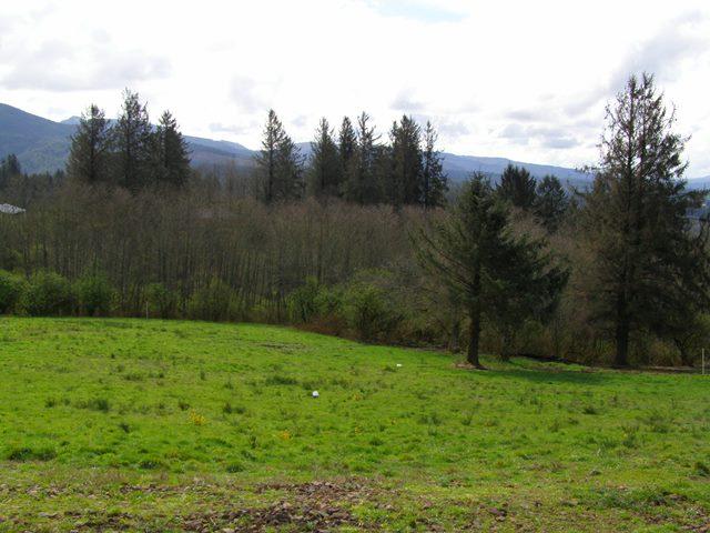 Lot 27 Skyview Road Tillamook, OR 97141 - Photo 5 of 12 P3180351.JPG