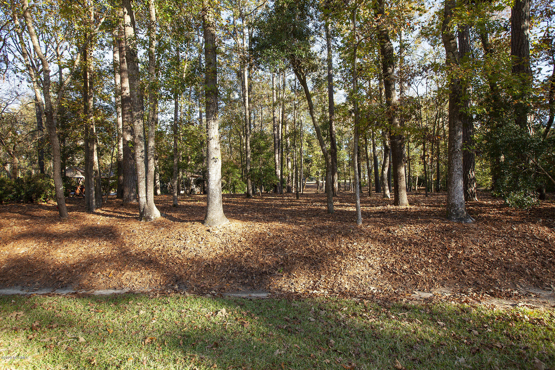 405 Ravenswood Road Hampstead, NC 28443 - Photo 2 of 3 Ravenswood 405 Lot Bev_7800