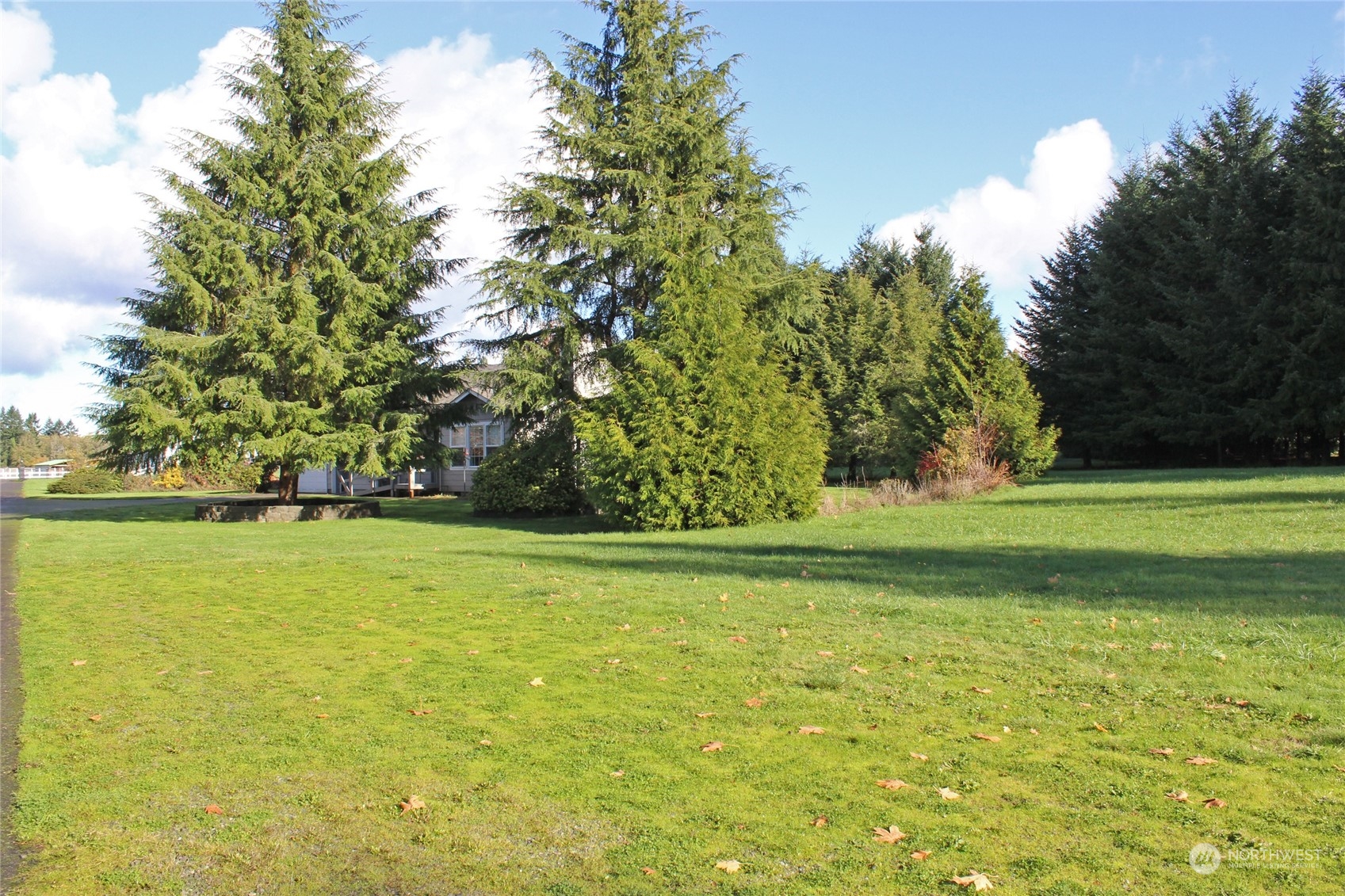 9441 Gastaeson Lane Southwest Rochester, WA 98579 - Photo 30 of 40 a view of a green field
