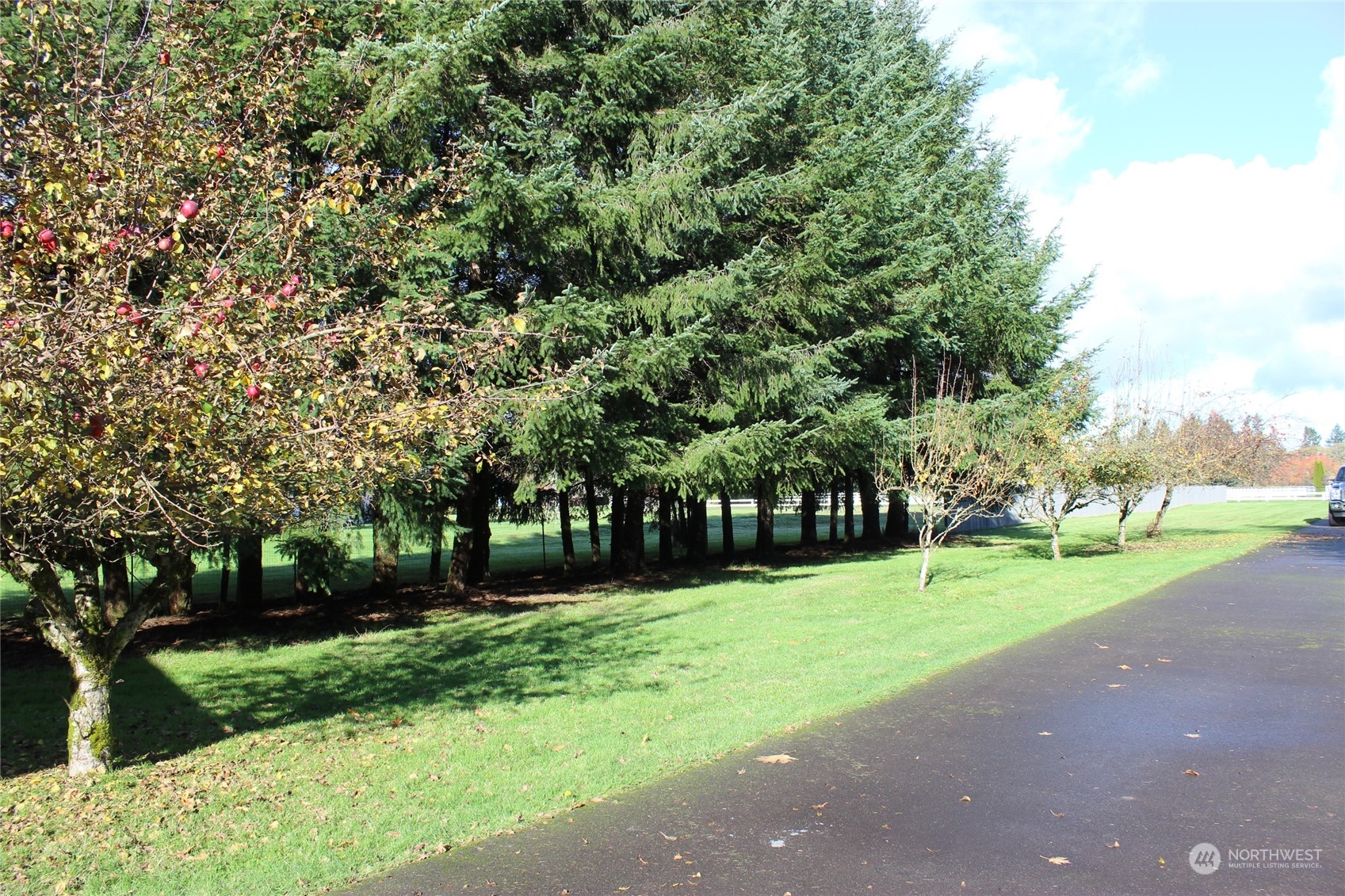 9441 Gastaeson Lane Southwest Rochester, WA 98579 - Photo 34 of 40 a view of a park with large trees