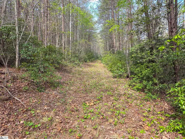 $488,800 | 0 Pumpkintown Highway, Unit TRACT A, Pickens, SC 29671