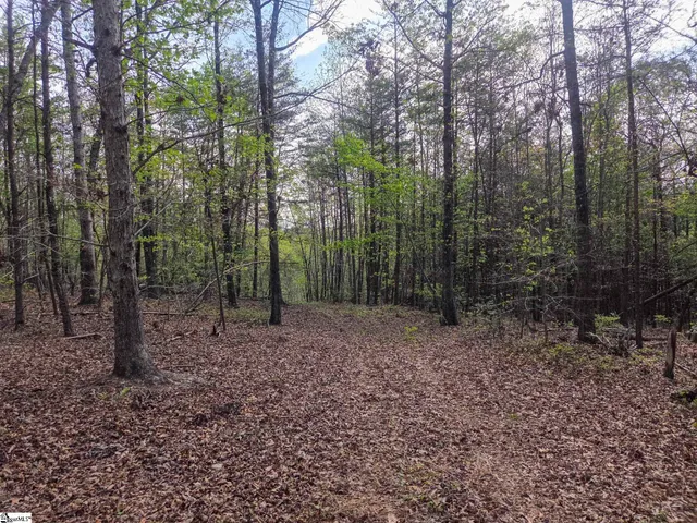 $488,800 | 0 Pumpkintown Highway, Unit TRACT A, Pickens, SC 29671