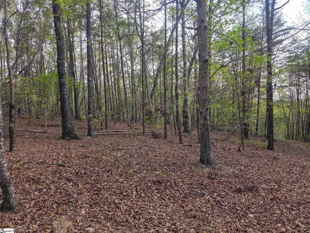 $488,800 | 0 Pumpkintown Highway, Unit TRACT A, Pickens, SC 29671