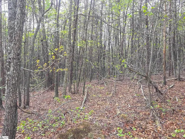 $488,800 | 0 Pumpkintown Highway, Unit TRACT A, Pickens, SC 29671