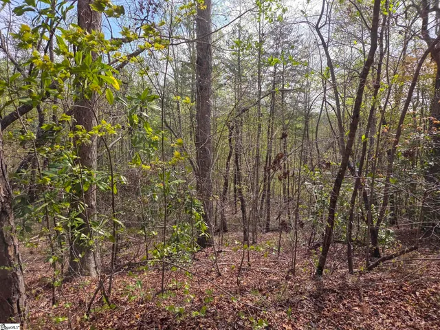 $488,800 | 0 Pumpkintown Highway, Unit TRACT A, Pickens, SC 29671