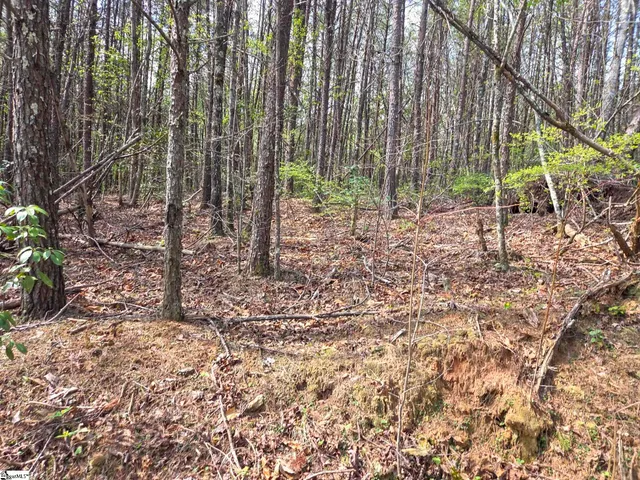 $488,800 | 0 Pumpkintown Highway, Unit TRACT A, Pickens, SC 29671