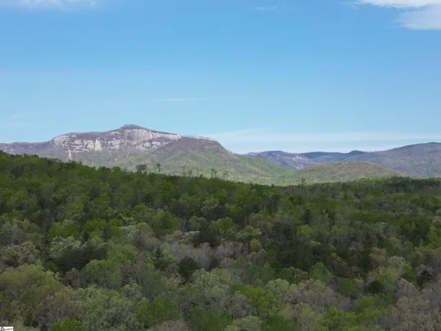 $488,800 | 0 Pumpkintown Highway, Unit TRACT A, Pickens, SC 29671