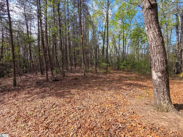 $488,800 | 0 Pumpkintown Highway, Unit TRACT A, Pickens, SC 29671