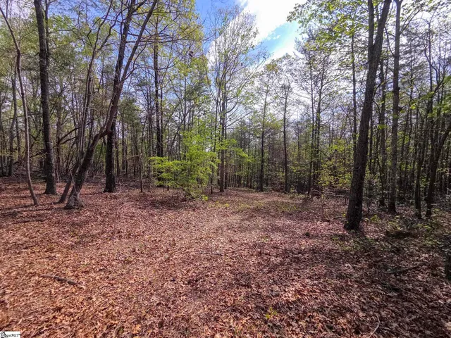 $488,800 | 0 Pumpkintown Highway, Unit TRACT A, Pickens, SC 29671