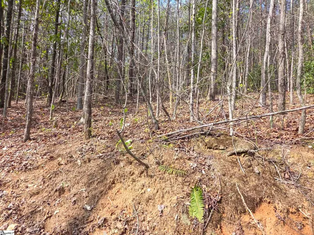 $488,800 | 0 Pumpkintown Highway, Unit TRACT A, Pickens, SC 29671