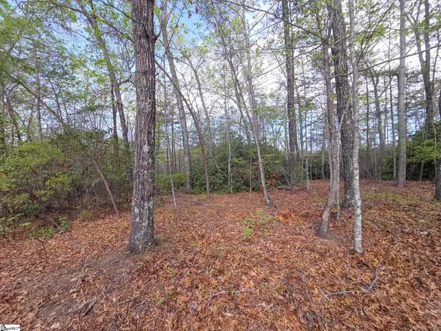 $488,800 | 0 Pumpkintown Highway, Unit TRACT A, Pickens, SC 29671