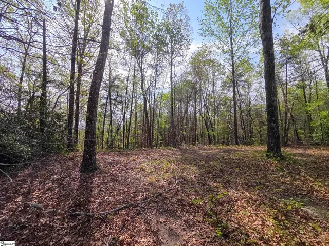 $488,800 | 0 Pumpkintown Highway, Unit TRACT A, Pickens, SC 29671