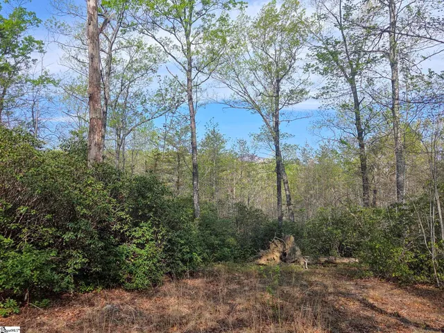 $488,800 | 0 Pumpkintown Highway, Unit TRACT A, Pickens, SC 29671