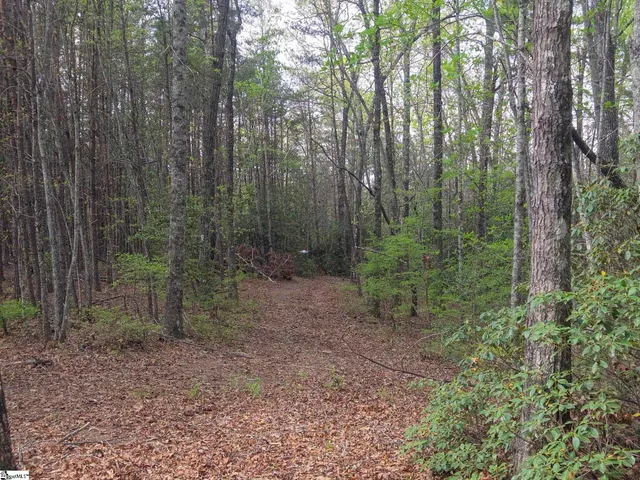$488,800 | 0 Pumpkintown Highway, Unit TRACT A, Pickens, SC 29671